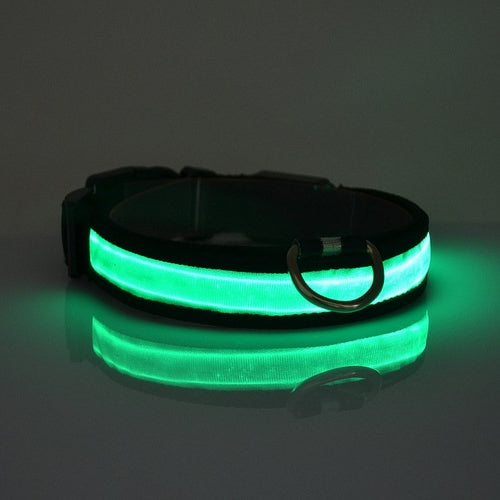 Collar Led Para Perro / LED Light Up Dog Collar