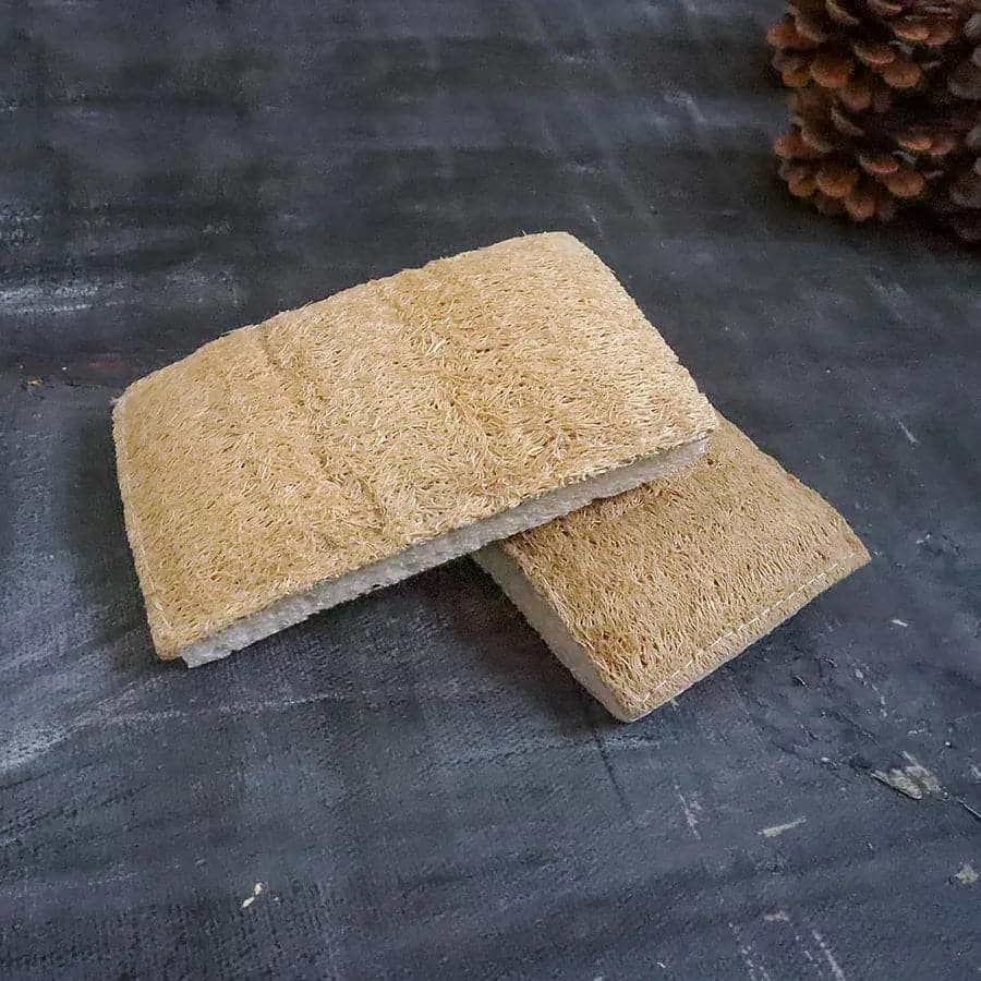 Esponja de fibra ecológica