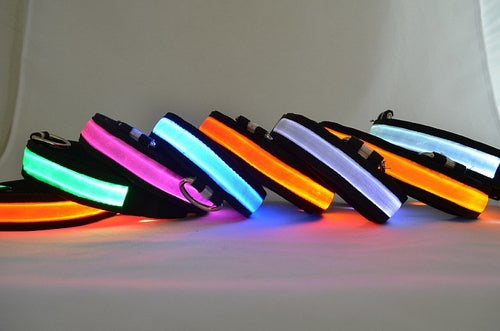 Collar Led Para Perro / LED Light Up Dog Collar