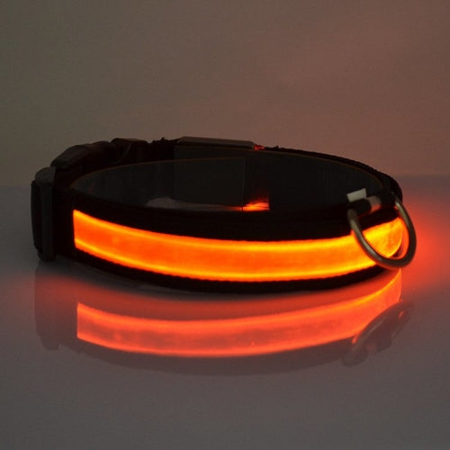 Collar Led Para Perro / LED Light Up Dog Collar
