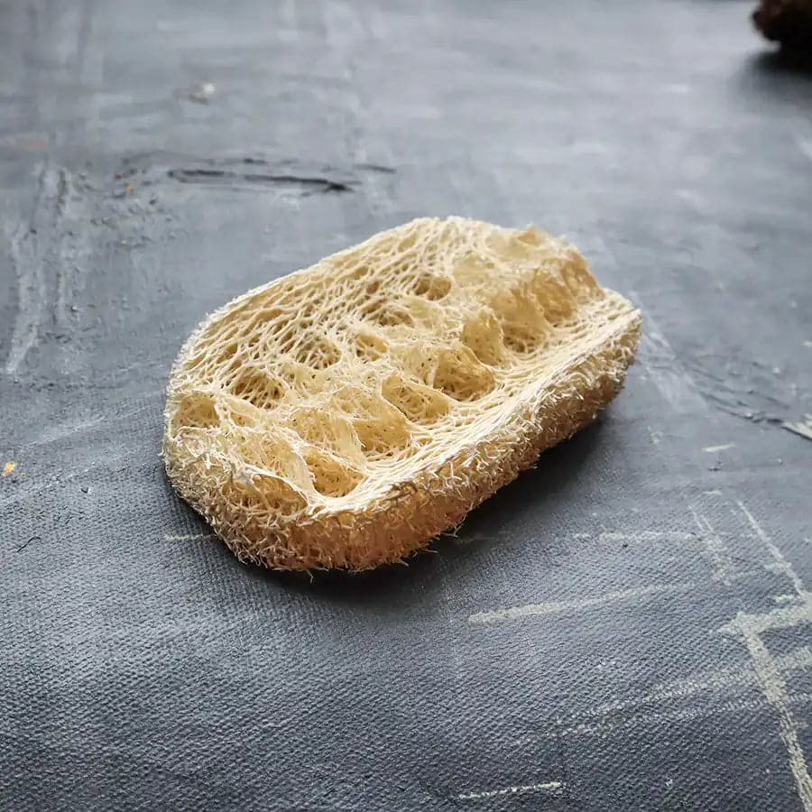 Esponja vegetal de cocina