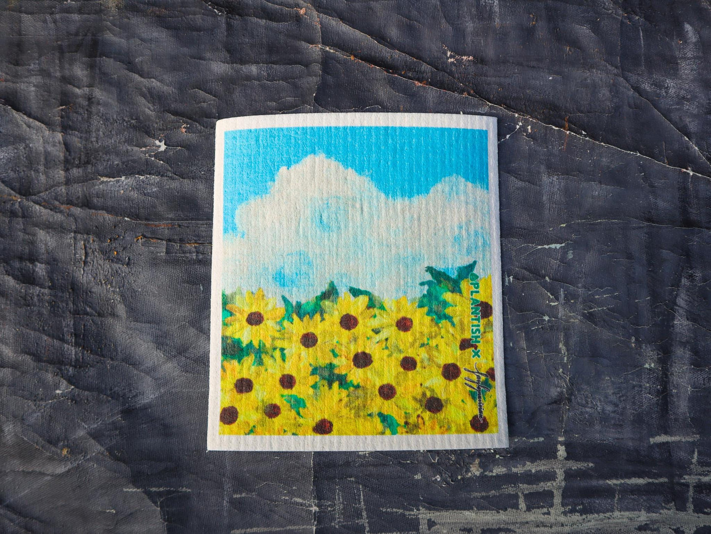 Juego de Paños decorados Suecos / Picturesque Artistry - Swedish Sponge Cloth Set