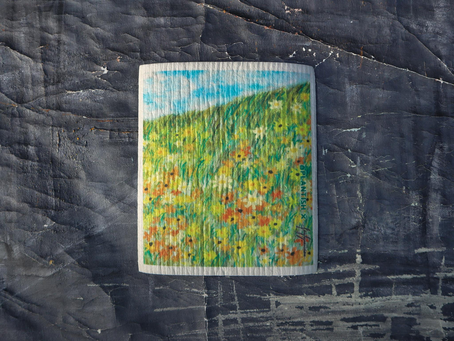Juego de Paños decorados Suecos / Picturesque Artistry - Swedish Sponge Cloth Set