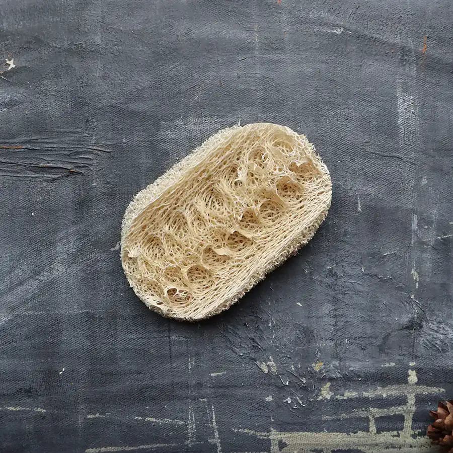 Esponja vegetal de cocina